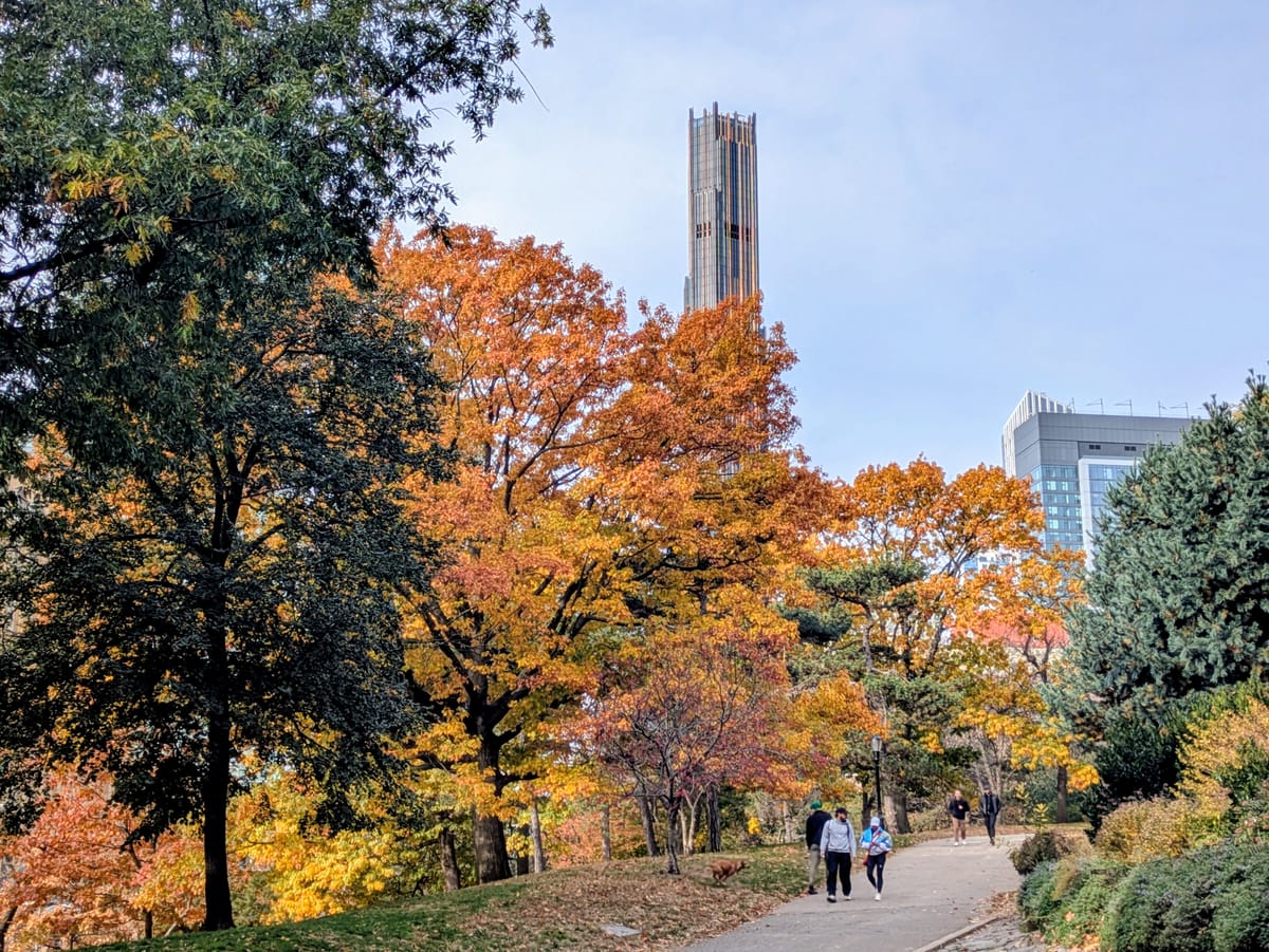 Will Coinbase become a neobank or a superapp? (TWIF 11/14)