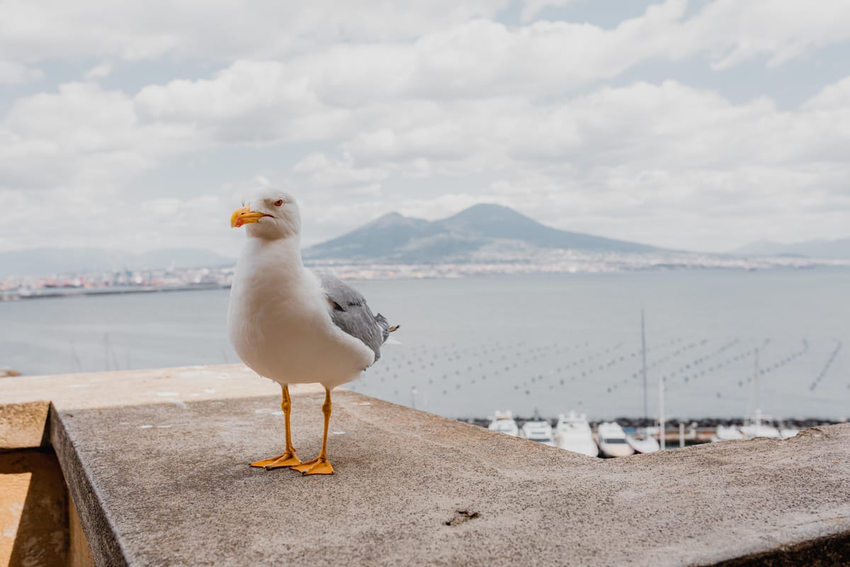 Wealthtech FNZ raises $650M (TWIF 11/15)