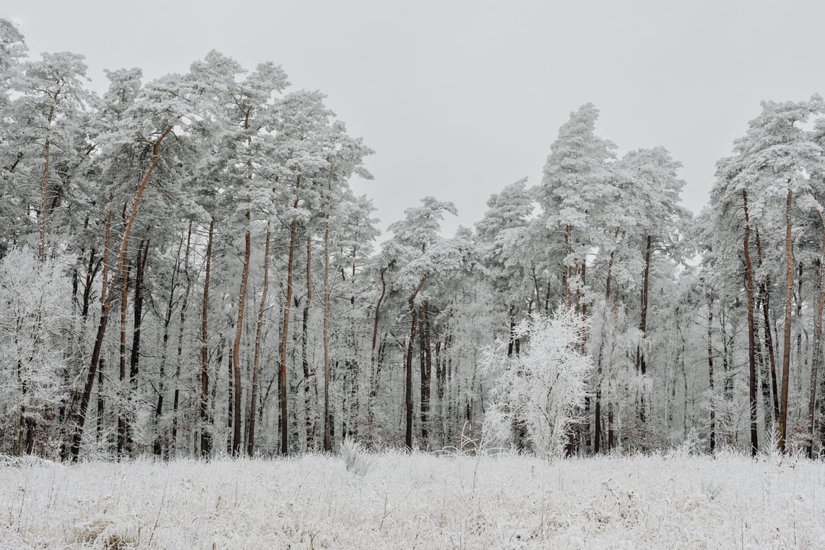 Winter is coming, but funding stays hot (TWIF 12/13)