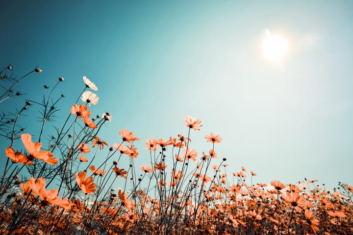 Xero drops $2.5B on Melio to make accounting pay off (TWIF 10/19)