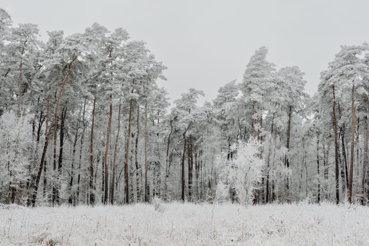 Winter is coming, but funding stays hot (TWIF 12/13)